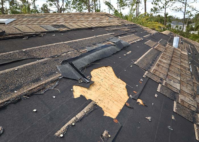 Wind Damage